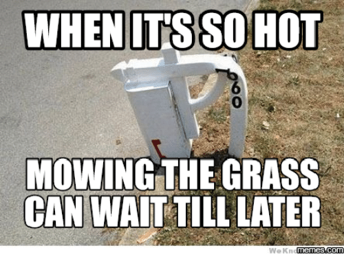 Terry Poole (@t_pooleauthor) on Twitter photo 