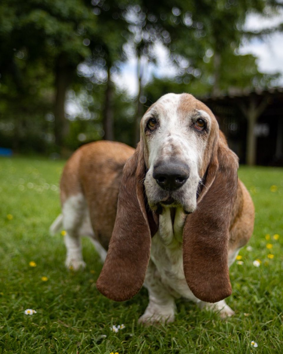 Phil Sledge tweet media