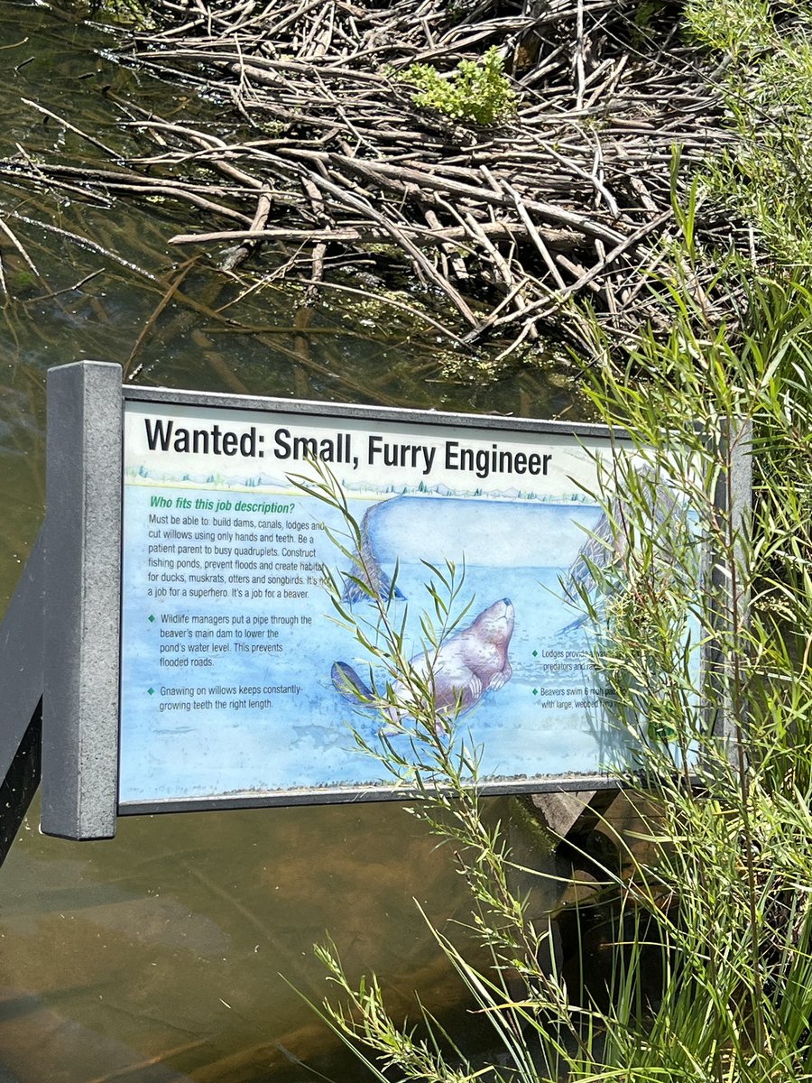 I’ll just leave this here from today’s exploration.