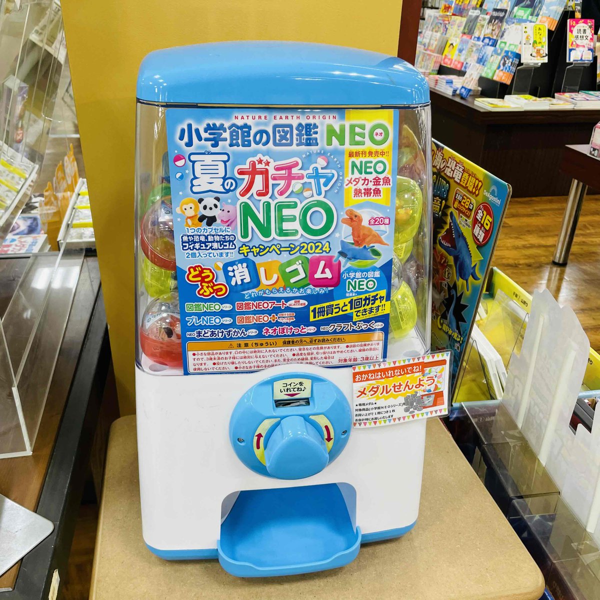 小学館 の #図鑑NEO、クラフトぶっく をレジ前で展開中～🌻 売場では