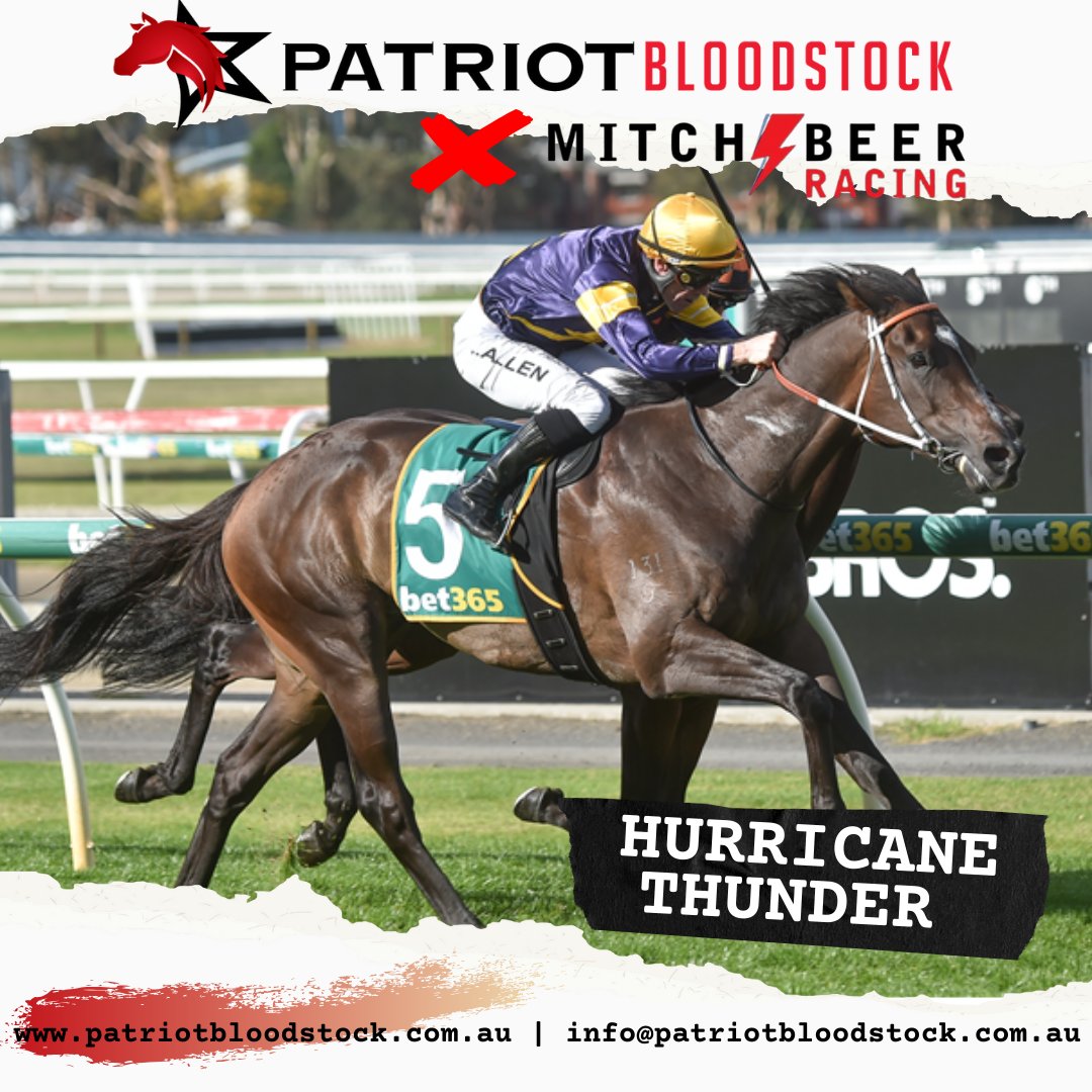 Patriot Bloodstock tweet media
