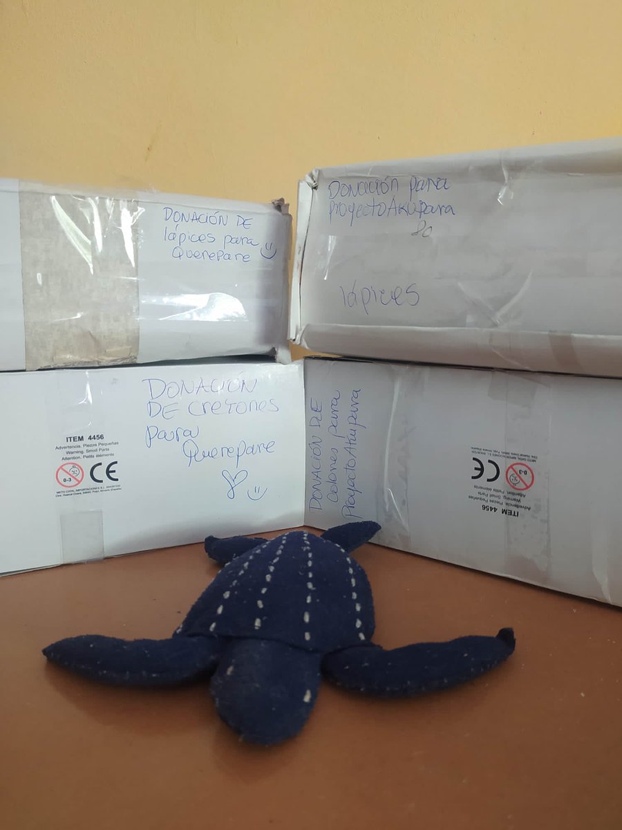 CICTMAR's tweet photo. #10Jul2024 Sin hembras en #Querepare... pero pronto con creyones y lápices para #Cipara #Querepare y #Puipuy gracias a Diana Patricia, desde Lucena, España🇪🇸.. Gracias!!! 🌹🌹🌹🌹🌹 #2024tortugasdeParia 🐢🌴🌊🇻🇪 https://t.co/VTgpgidLki