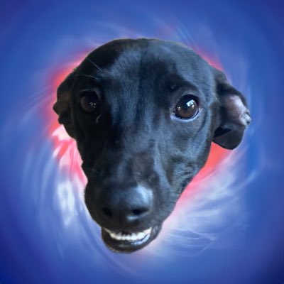 ellenloboz's tweet image. #NovaFotoDePerfil