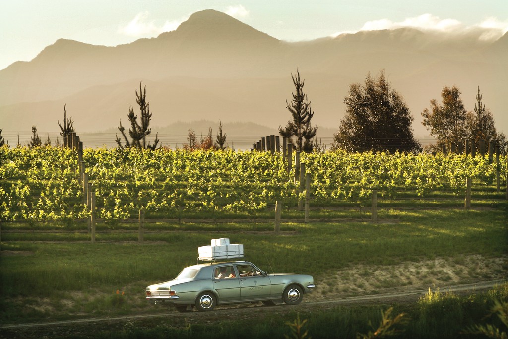 Dog Point Vineyard tweet media