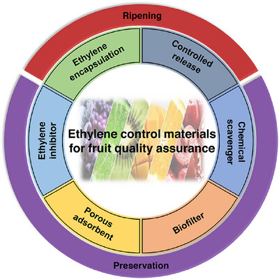AggregateOA's tweet image. Early View💡
"#Ethylene control in fruit quality assurance: A material science perspective" by Xiangze Jia &amp;amp; Qiang Huang et al. @SCUT1918 @Wiley_Chemistry #crystalline #porous #GasAdsorption

Check👉doi.org/10.1002/agt2.5…