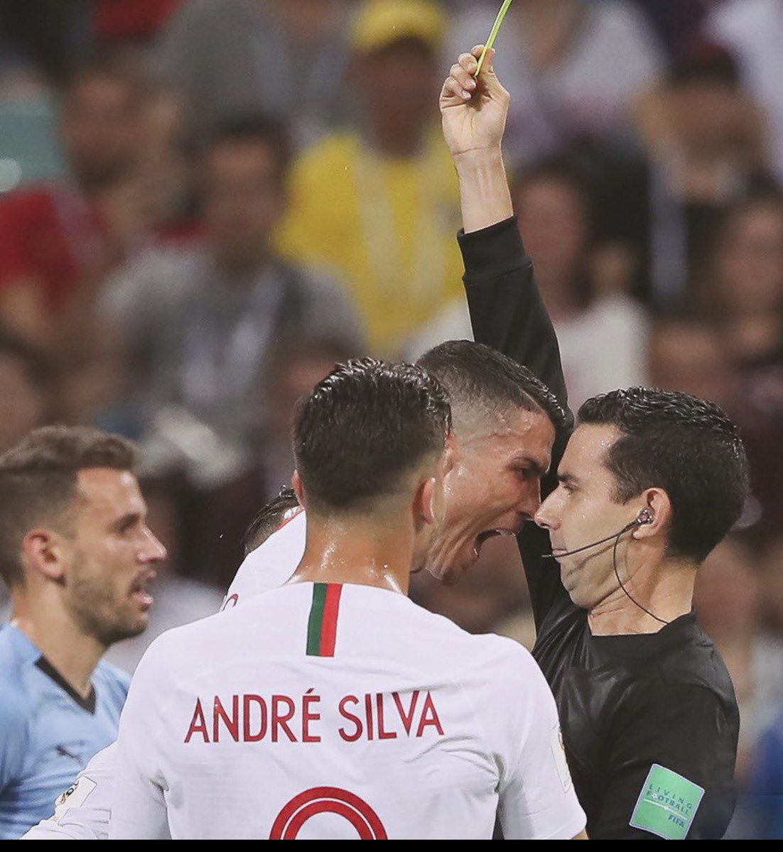 Monica Fernandez tweet media