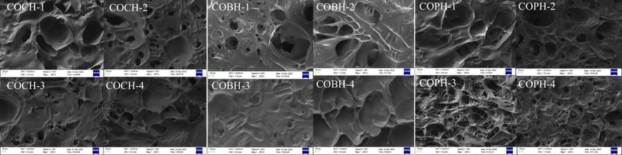 MaximumAcademic's tweet photo. #FMR 

🐔Eco-friendly gelatin hydrogels from chicken, bovine &amp; porcine lungs: Modified for superior antimicrobial properties!

@FoodAdvance1 #BiodegradableMaterials #SustainableInnovation

Details: https://t.co/m1UPJddpYq https://t.co/bt6DTBCgfu