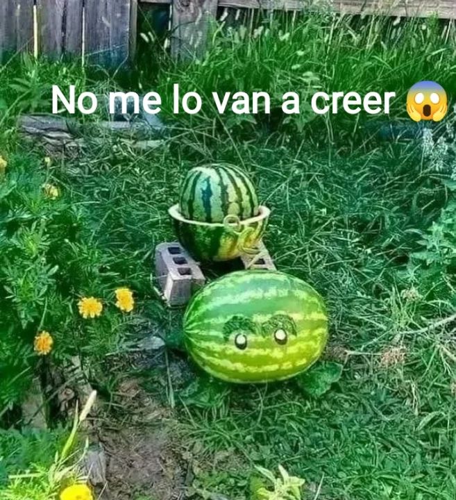 BFrog (@bfrog__) on Twitter photo 