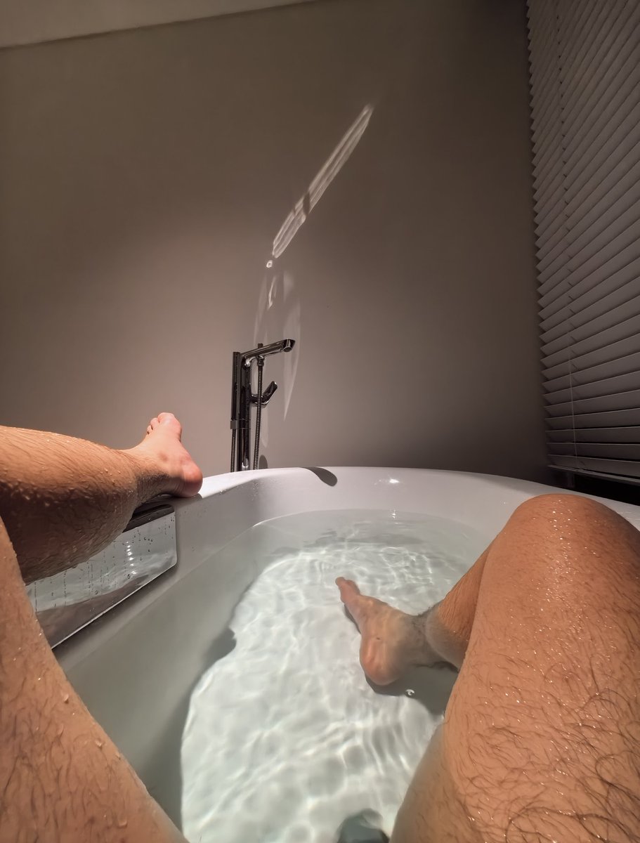 龙舌兰 L. tweet media