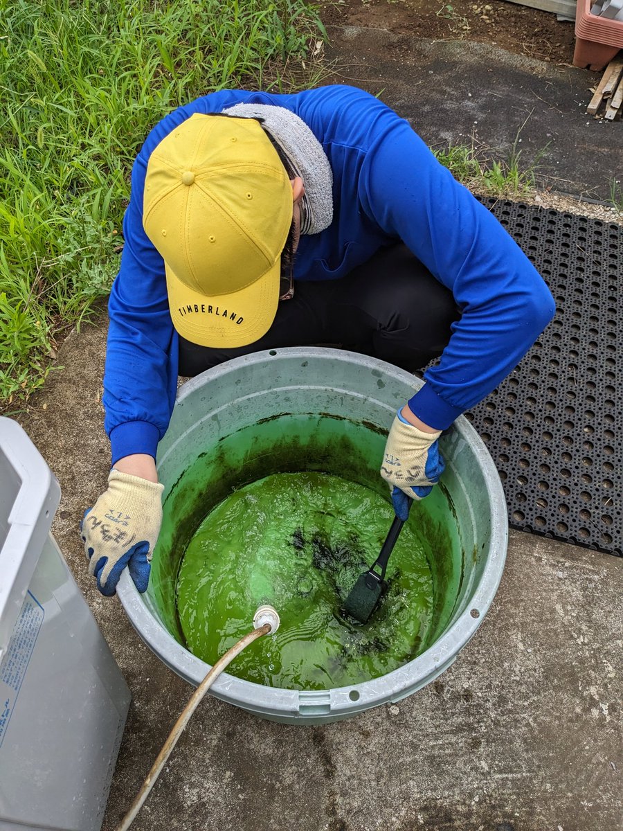 今日は金魚の水換えをしました👦
濁った水槽もこの通り🐟✨
まだ金魚たちに名前がついていないので、名前を募集しています🌿☀
#最近は黄色い帽子がお気に入り
#柏市
#就労継続支援B型
#ユニバース
#利用者募集中
#君の名は　#金魚の名前募集中
#OA機器の解体　#SDGs　
#僕たちと一緒に地球を守ろう