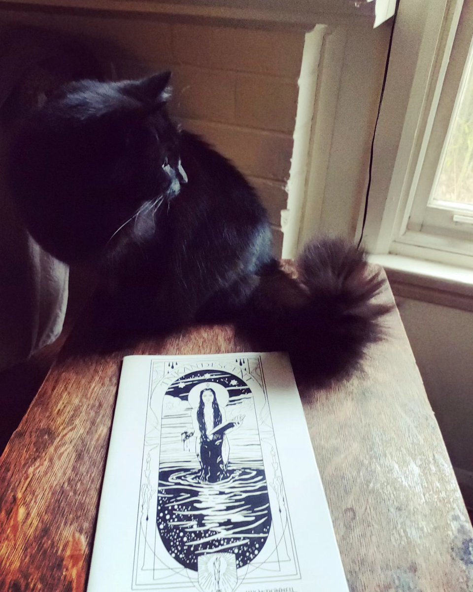 My_B_Monsters's tweet photo. I will have the last remaining copies of my 2020 sketchbook 'Inkandesent' for sale at Metro Comic Con this weekend 🖤 Seen here with my beautiful cat (not included) 🖤 Here is a peek inside! https://t.co/n38camYYTv