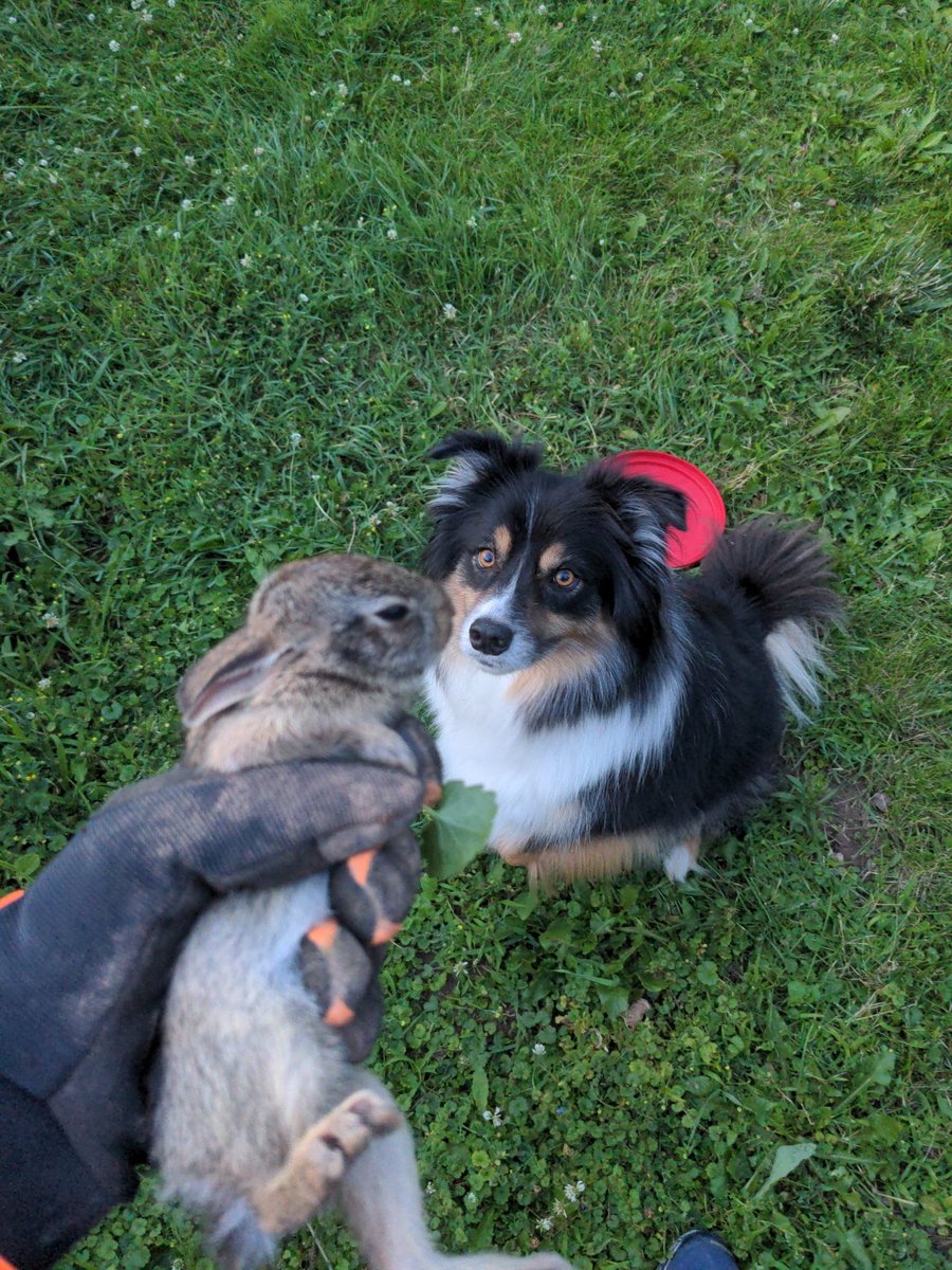 thebodega tweet media