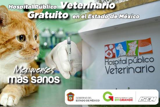 reylemato's tweet photo. @Edomex ¡Regresen el hospital veterinario Gratuito que estaba en Naucalpan!, cuando no tenia trabajo ni dinero yo llevé ahí a mi gatita, y solo con esterilizaciones y adopción vamos a acabar con el sufrimiento de perritos y gatos. https://t.co/X7p2ma6fzy