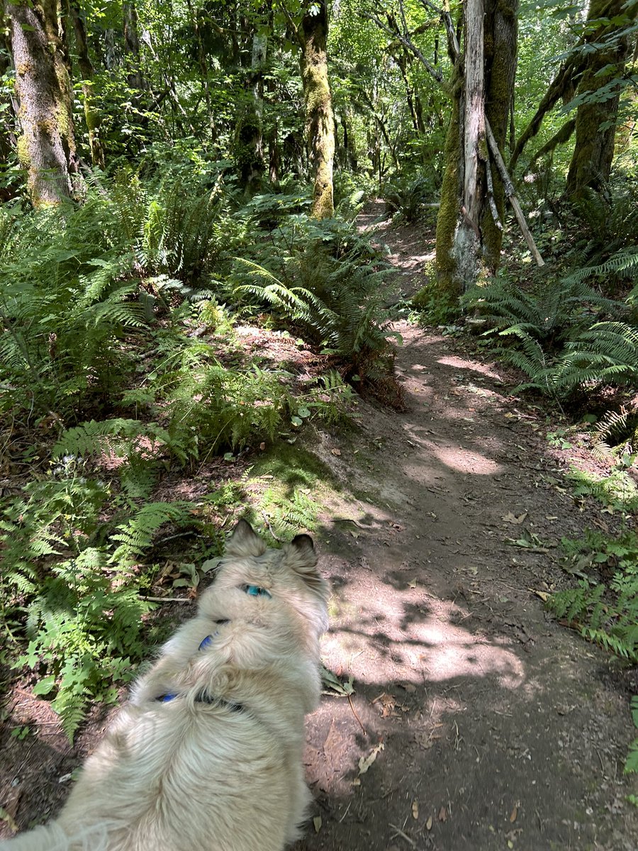 Mia Gordon TWN tweet media