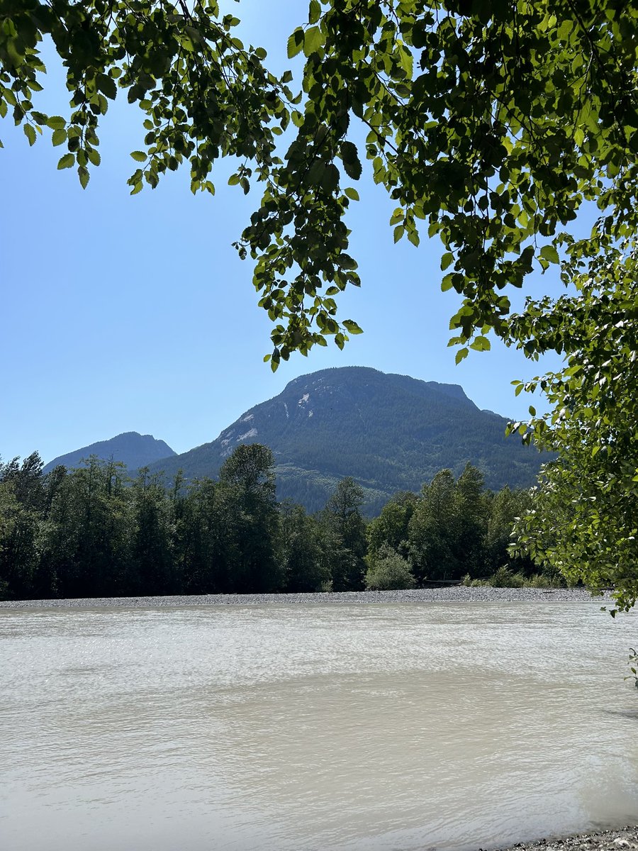 Mia Gordon TWN tweet media