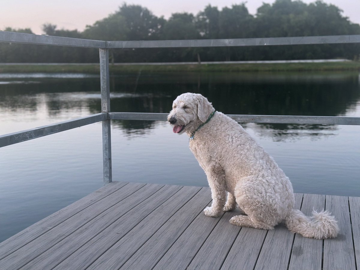 ConnellConnell's tweet image. My new fishin’ buddy! #Oliver