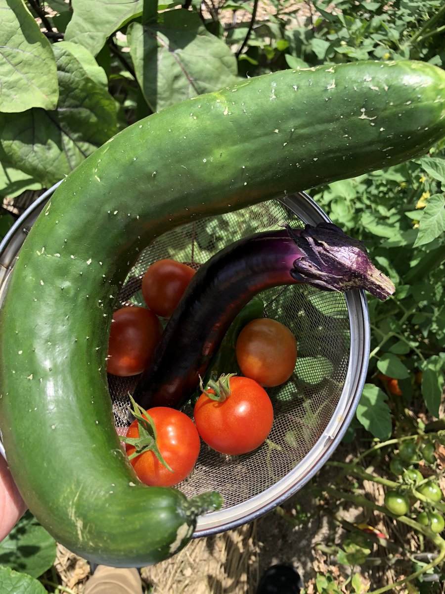 自分の魂を信じる和くん🌴163.14 tweet media