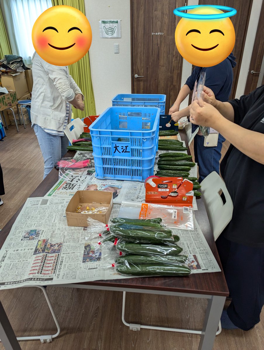 kinomi_b's tweet photo. 室内作業を紹介します。
きゅうり農家さんが運んでくれたきゅうりの袋詰め作業を行なっています。
１本ずつ長さを揃えたりして意外と大変なんです。丁寧に取り扱っていますよ。
皆様の食卓に上がるきゅうりはもしかしたらこちらのきゅうりかも知れませんね。 https://t.co/kfXuNKh8Rb