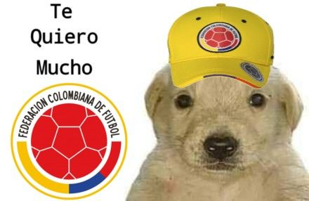 nacional_memes's tweet photo. GANAMOS, VAMOS A LA FNAL, VIVA COLOMBiA  🐶 https://t.co/5690IlCkSX