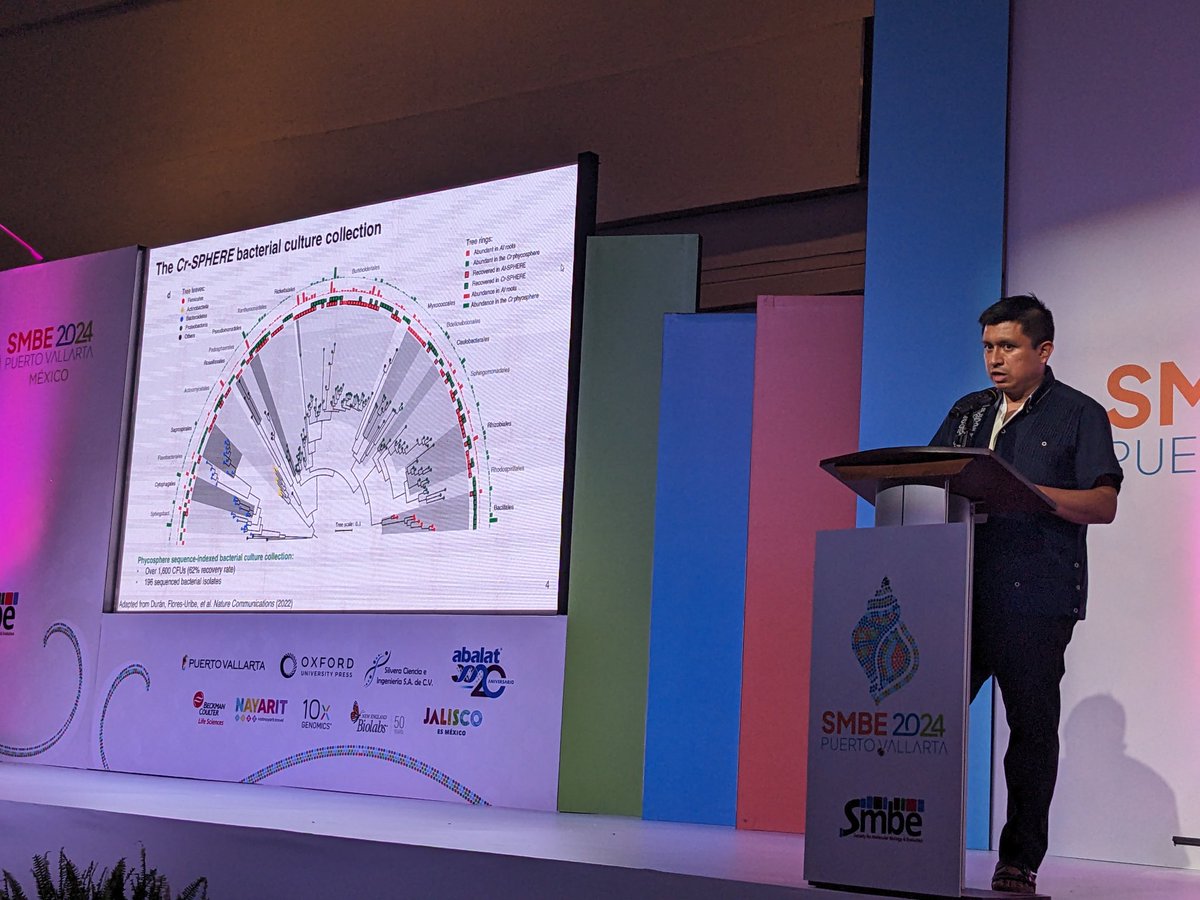 Sheila Roitman tweet media