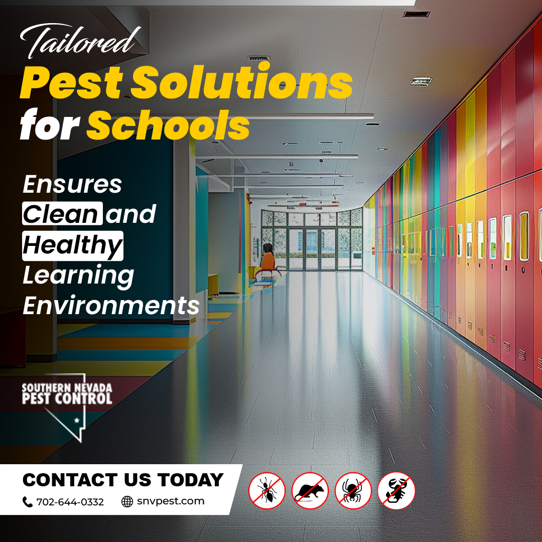 SNVPest's tweet image. Pests like roaches &amp;amp; rodents can disrupt learning. #SouthernNevadaPestControl specializes in #CommercialPestControl to protect schools &amp;amp; educational facilities. Trust us to maintain a pest-free environment! Call 702-644-0332 or visit snvpest.com #SchoolPestControl