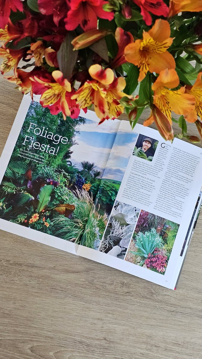 Extolling the virtues of leafage in this month's Ireland's Homes and Living Magazine