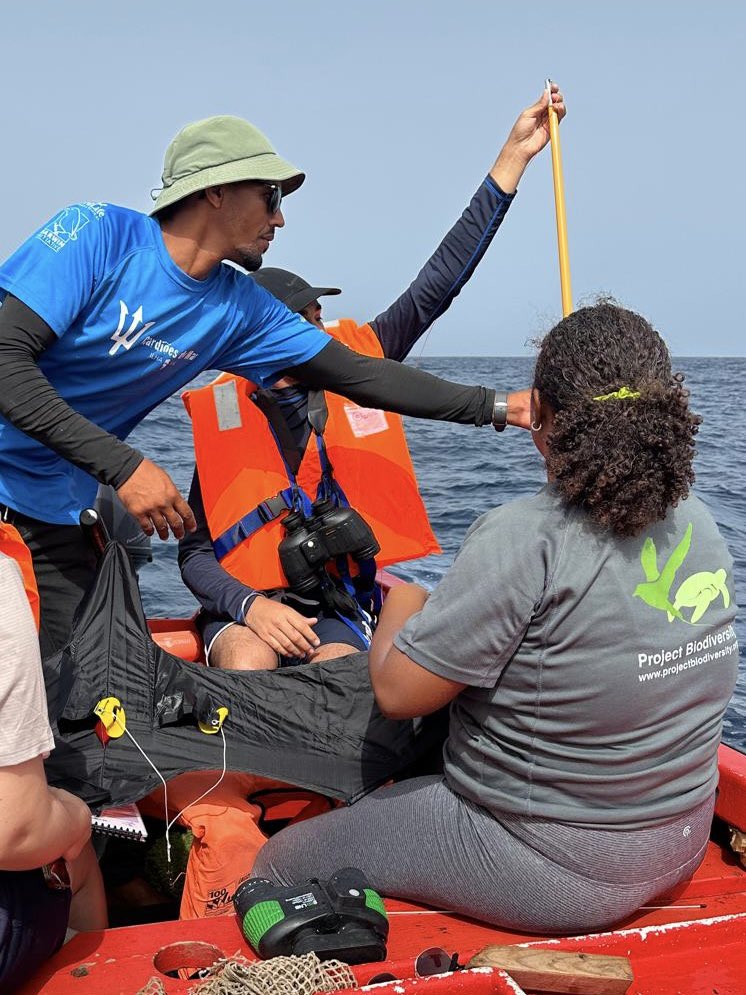 Eizaguirre Lab (@eizaguirrelab) on Twitter photo #SolutionslnSal
#Conservation in Sal thrives thanks to the dedicated staff of <a href="/ProjetoBioSal/">Project Biodiversity</a> and their continuous engagement with local communities.
Collective efforts are essential in protecting the island’s marine life.
Here are some of our #ConservationHeroes #SolutionslnSal
#Conservation in Sal thrives thanks to the dedicated staff of <a href="/ProjetoBioSal/">Project Biodiversity</a> and their continuous engagement with local communities.
Collective efforts are essential in protecting the island’s marine life.
Here are some of our #ConservationHeroes