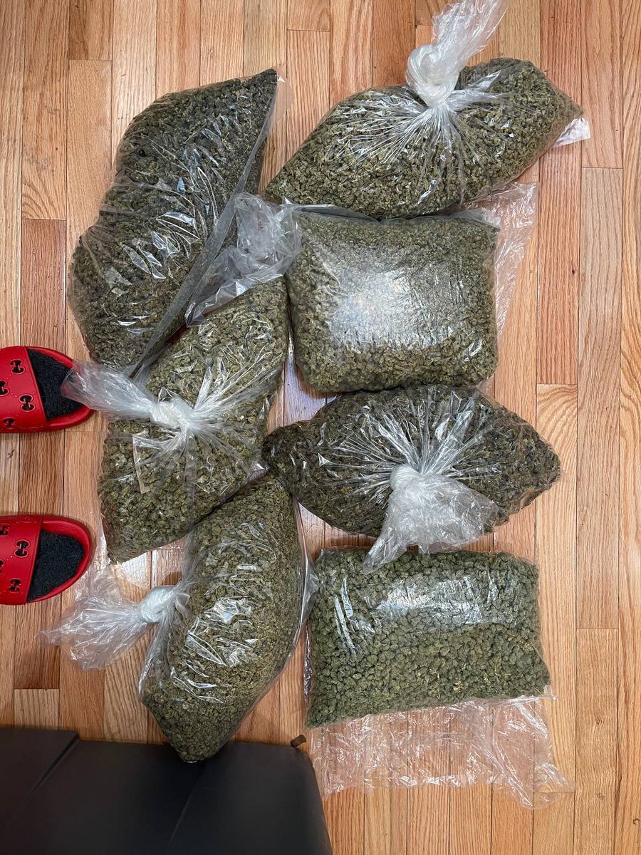 WeedF286's tweet photo. Plan beuh🍁THC passer vos commande. télégramme 👉https://t.co/vQVRcJcHaG
WhatsApp 👉+33754269933
Snap👉https://t.co/KRFRvwVucH

#instacannabis #puffpuffpass #frannabis #weedfrance #weedstagram #mdrr 
#franceweed #france #weedparis #joint #weed #weedfrance #paris #weedinfrance https://t.co/2XcDj8PHqH