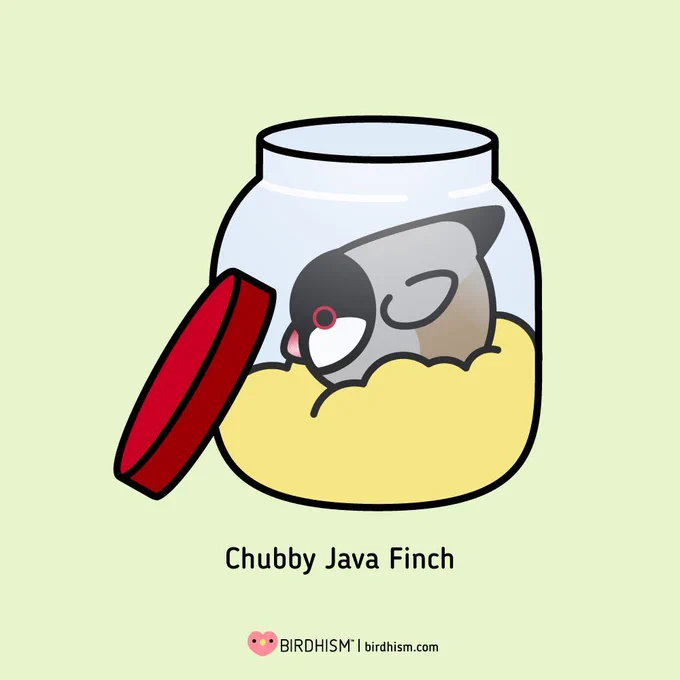 Himbs lost in the sauce.Java Finches are illegal to possess in California, Georgia, Hawaii, Nevada, New Mexico, Kentucky, New Hampshire, Florida, Pennsylvania, West Virginia, Wyoming, Maine, Virgin Islands, and Puerto Rico as regulators see them as a threat to agriculture. 