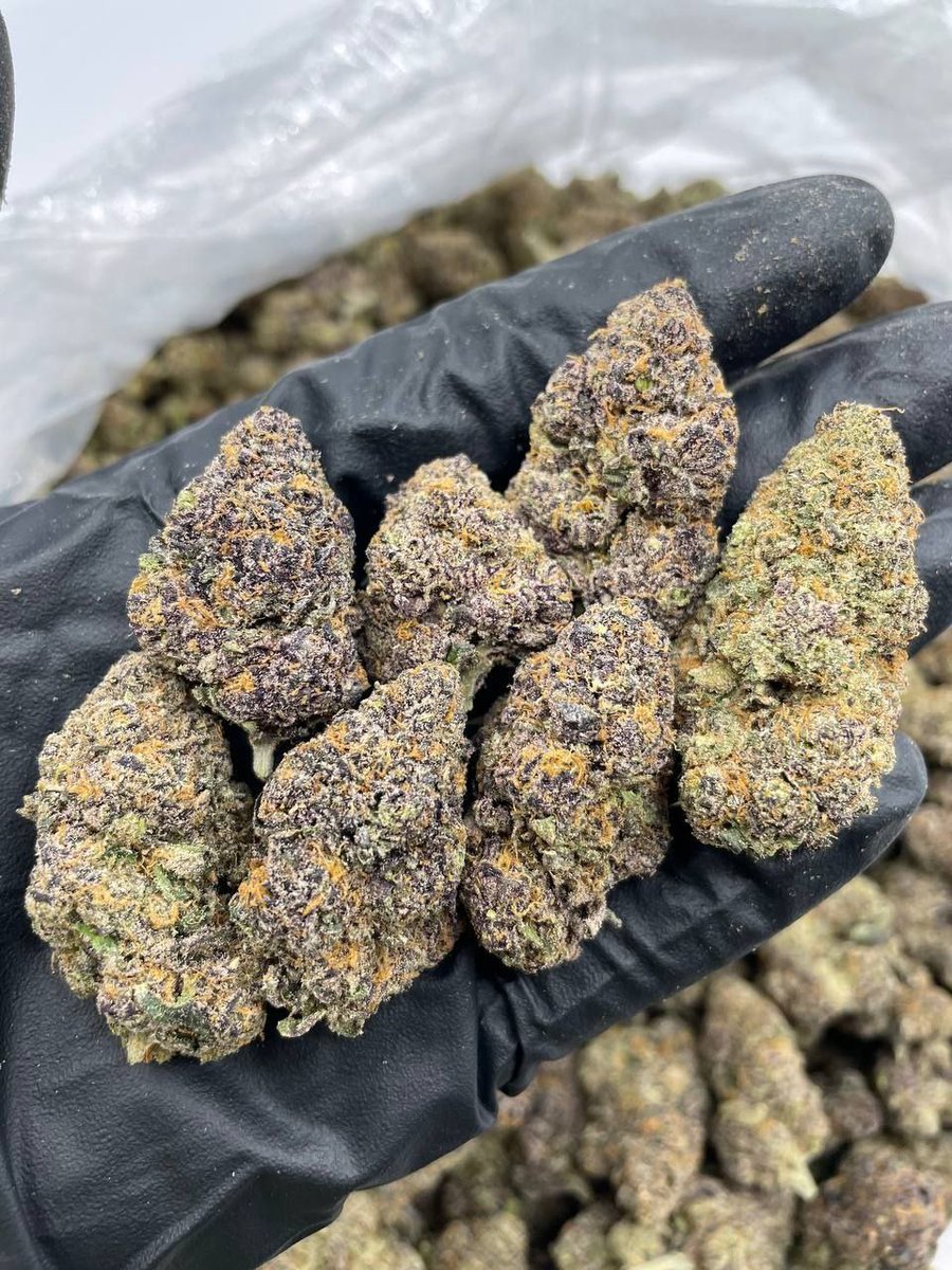 WeedF286's tweet photo. Plan beuh🍁THC passer vos commande. télégramme 👉https://t.co/vQVRcJc9l8
WhatsApp 👉+33754269933
Snap👉https://t.co/KRFRvwUWn9

#villeurbanne #metz #Caen #nancy #rouen 
#francecannabis #cannabis #weed #beuh #thc #frenchstoner #fumeur #bedaveur #defonce #bicrave #fufu #joint https://t.co/BQQZd37efd