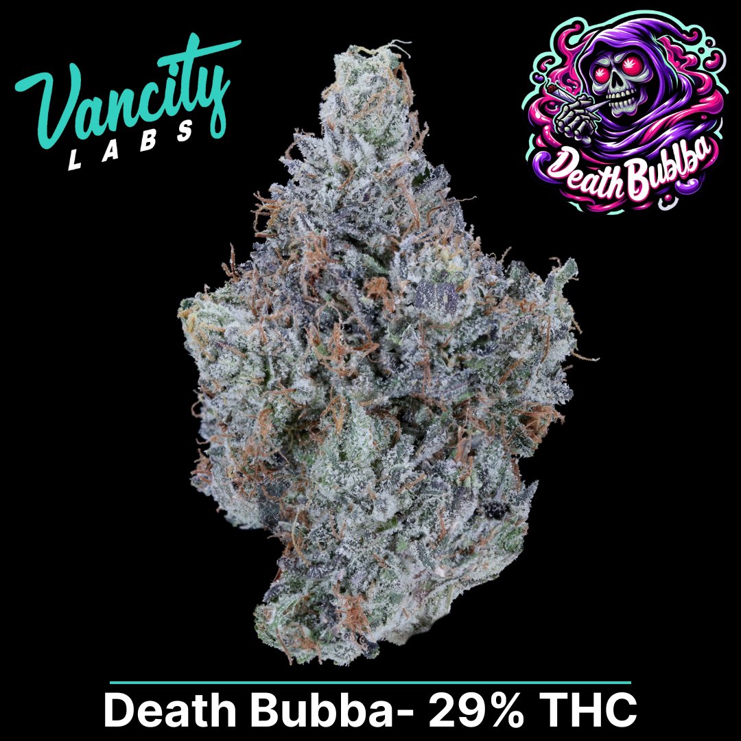vancitylabsco's tweet photo. The Dankest Tweet on X...