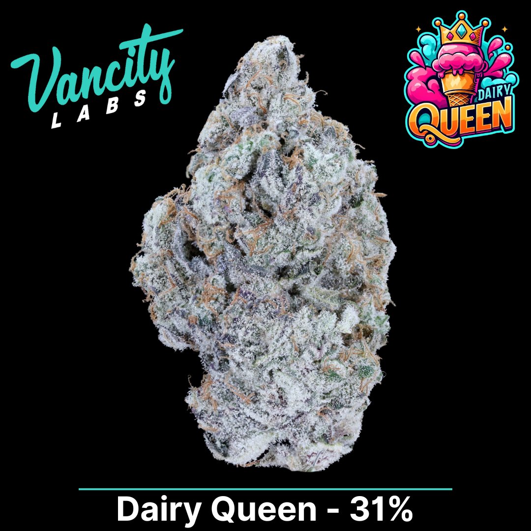 vancitylabsco's tweet photo. The Dankest Tweet on X...