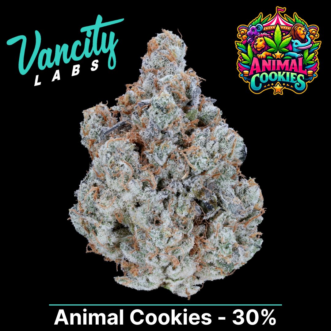 vancitylabsco's tweet photo. The Dankest Tweet on X...