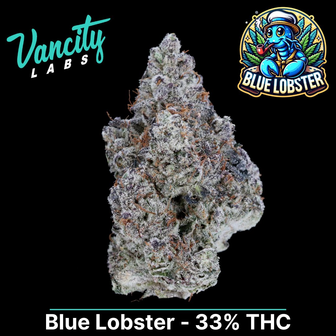 vancitylabsco's tweet photo. The Dankest Tweet on X...
