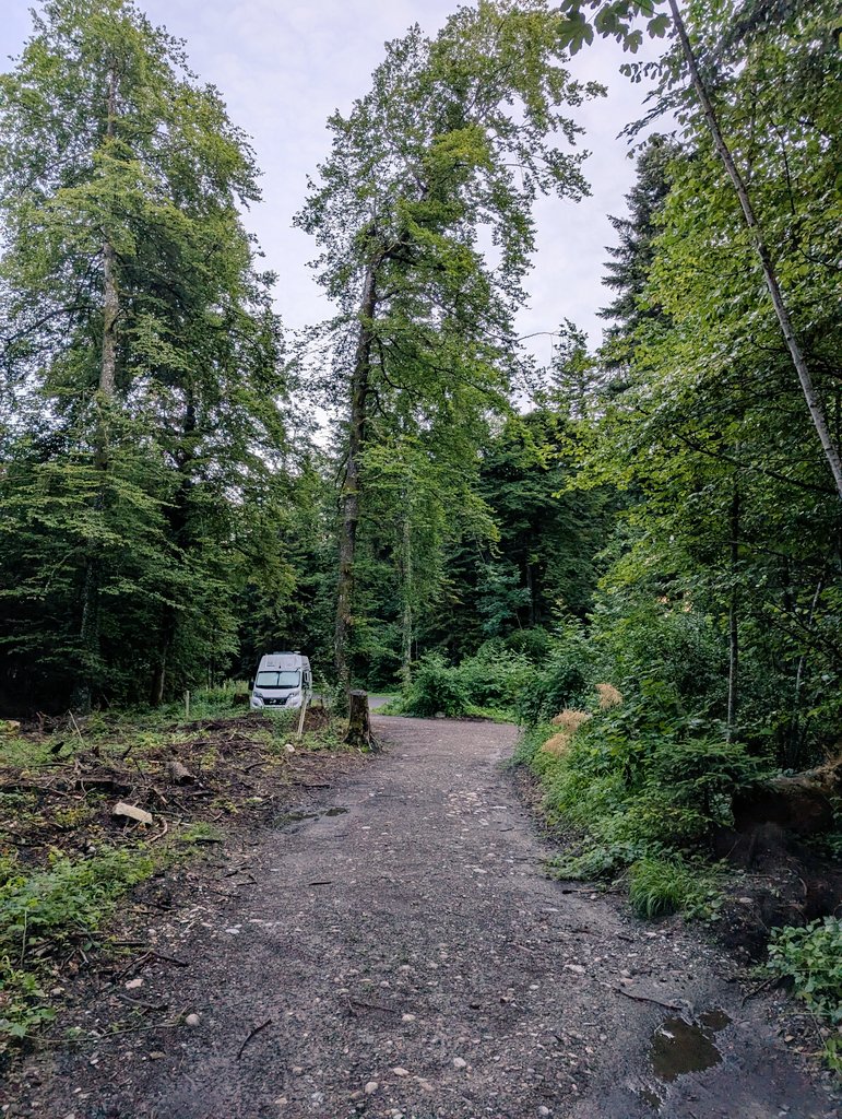 El mes pasado cogí una furgoneta y me fui a Suiza. 

La primera noche dormí en medio de un bosque bajo una fuerte lluvia.

Estaba agotado después de dos días de viaje por carretera... Tenía que descansar donde fuera.

Vamos con un hilo