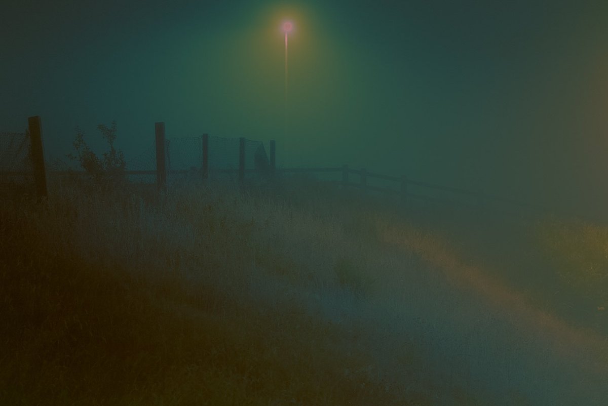 The fog.