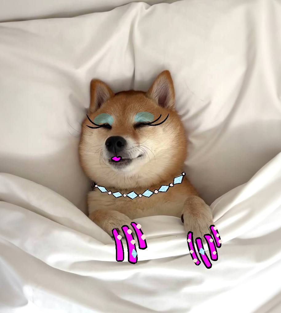 cozyctosol's tweet photo. real $cozy in by $billy position #typeshit my $aura is $giga levels anyone who fades is #retardio shoutout my $mother and $father https://t.co/Hqne9CHcrz