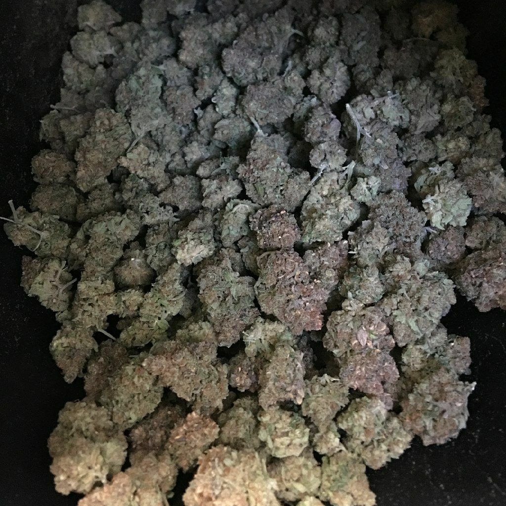 WeedF286's tweet photo. Plan beuh🍁THC passer vos commande. télégramme 👉https://t.co/vQVRcJcHaG
WhatsApp 👉+33754269933
Snap👉https://t.co/KRFRvwVucH

#Grenoble #weedsmokers #weedparis #parisweed #aéroport #franceverte #weedfrance #Toulouse #Nice #Lyon #vacances #voyages #Nanterre #Montreuil https://t.co/zfBbWUhTEA