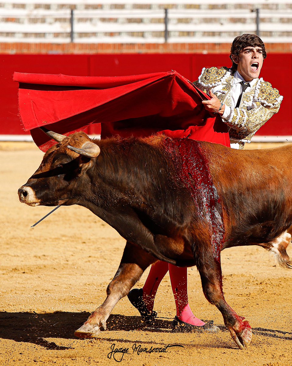 •𝟎𝟑/𝟎𝟕/𝟐𝟎𝟐𝟒•

𝑻𝑬𝑹𝑼𝑬𝑳

𝐁𝐚𝐣𝐨 𝐞𝐥 𝐨𝐛𝐣𝐞𝐭𝐢𝐯𝐨 𝐝𝐞 𝐦𝐢 𝐠𝐫𝐚𝐧 𝐚𝐦𝐢𝐠𝐨  <a href="/jorgemonserrat_/">Jorge Monserrat</a>