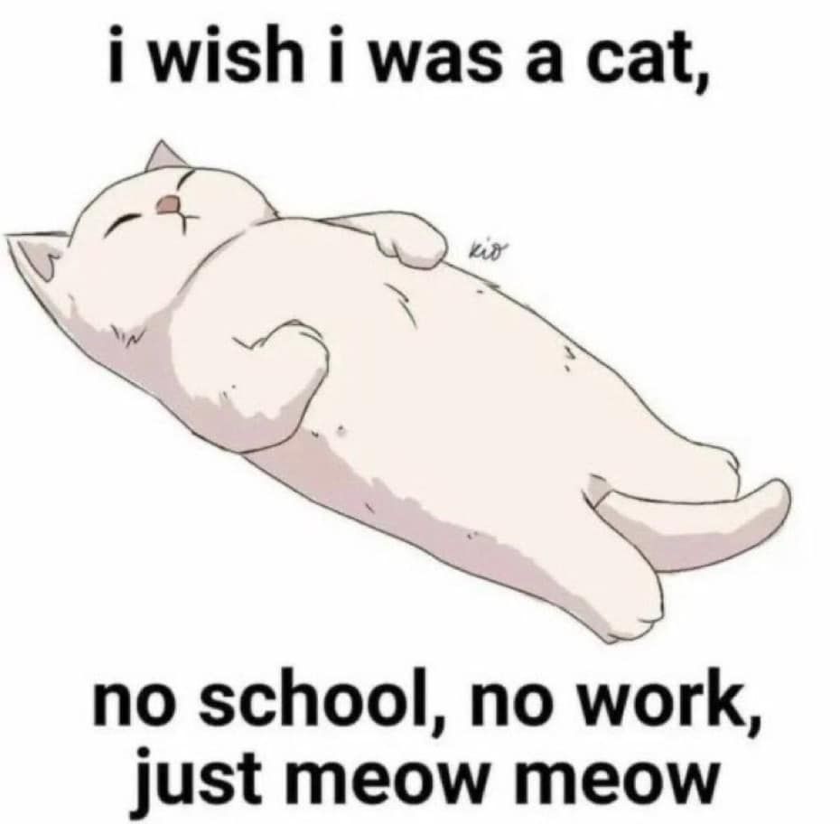 place where car shouldnt be (@carshouldnt) on Twitter photo 