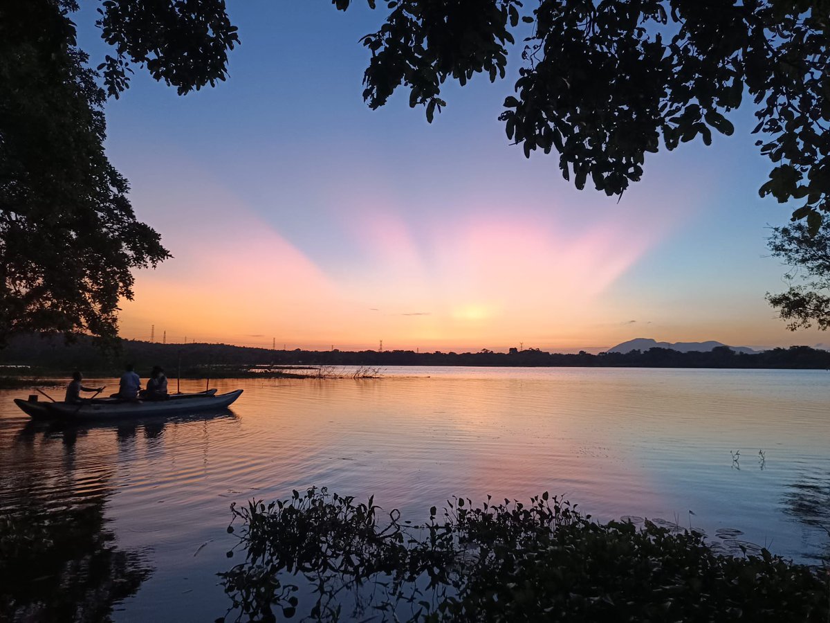 Safari day today for the #teambirkenhead 🇱🇰🏏tourists ! Lots of elephants and the odd monkey ! Beautiful sunset in a beautiful country ! 🇬🇧🏏🇱🇰#tripofAlifetime <a href="/OldBirkonianSoc/">OBS</a>