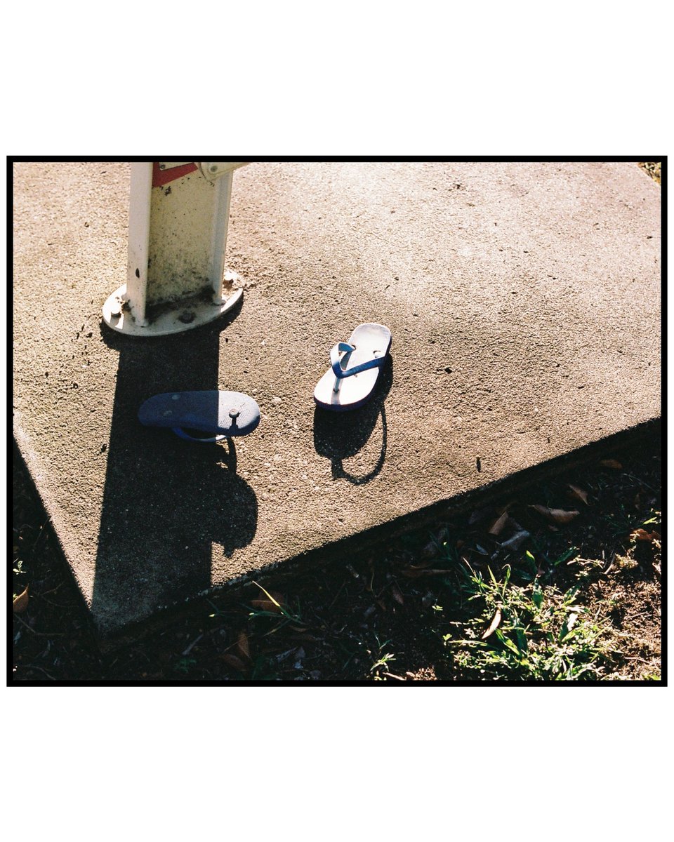 Lachlan Schipke tweet media