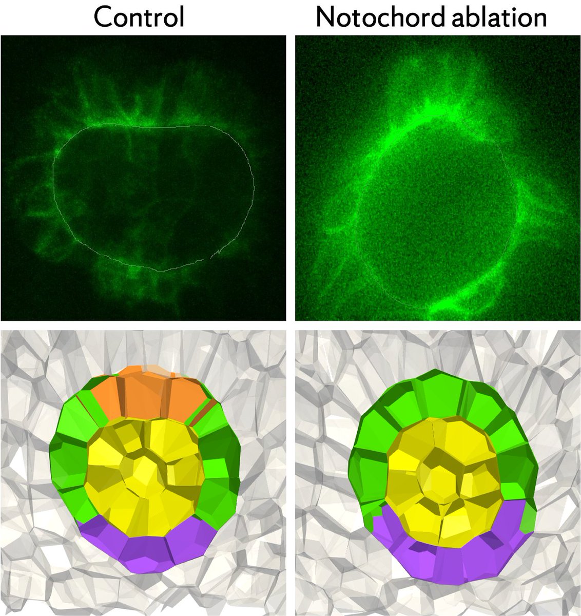 BPPB Seminar tweet media