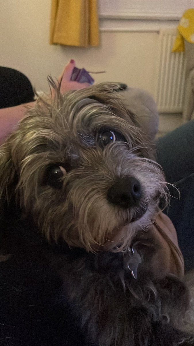 Dan Peroni tweet media