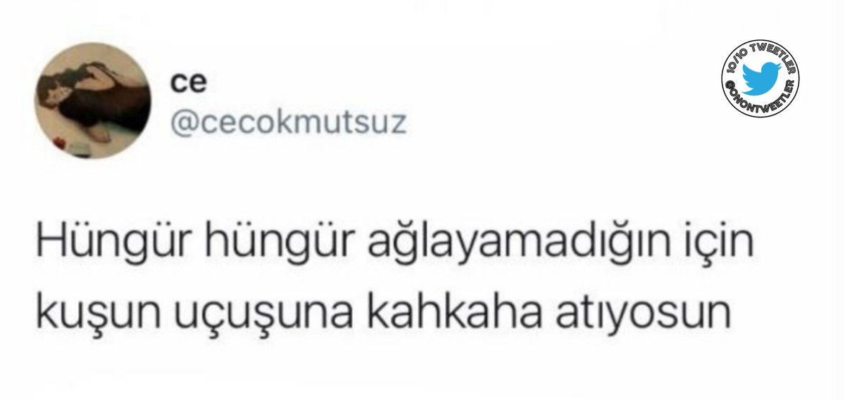 10/10 Tweetler (@onontweetler) on Twitter photo 