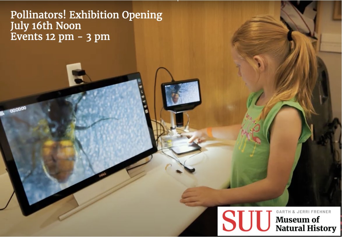 FrehnerMuseum's tweet photo. Pollinators! Exhibition Opening, July 16th Noon
Events Noon to 3pm 
Activities, interactive exhibits and free pollinator plants! https://t.co/9Iyq4UcXZY