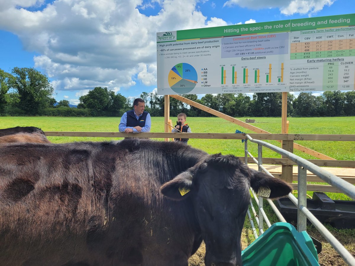 matty6320's tweet photo. Junior farm manager telling everyone how it's done 😅😅😅#tippdemo https://t.co/undwLjeN1S