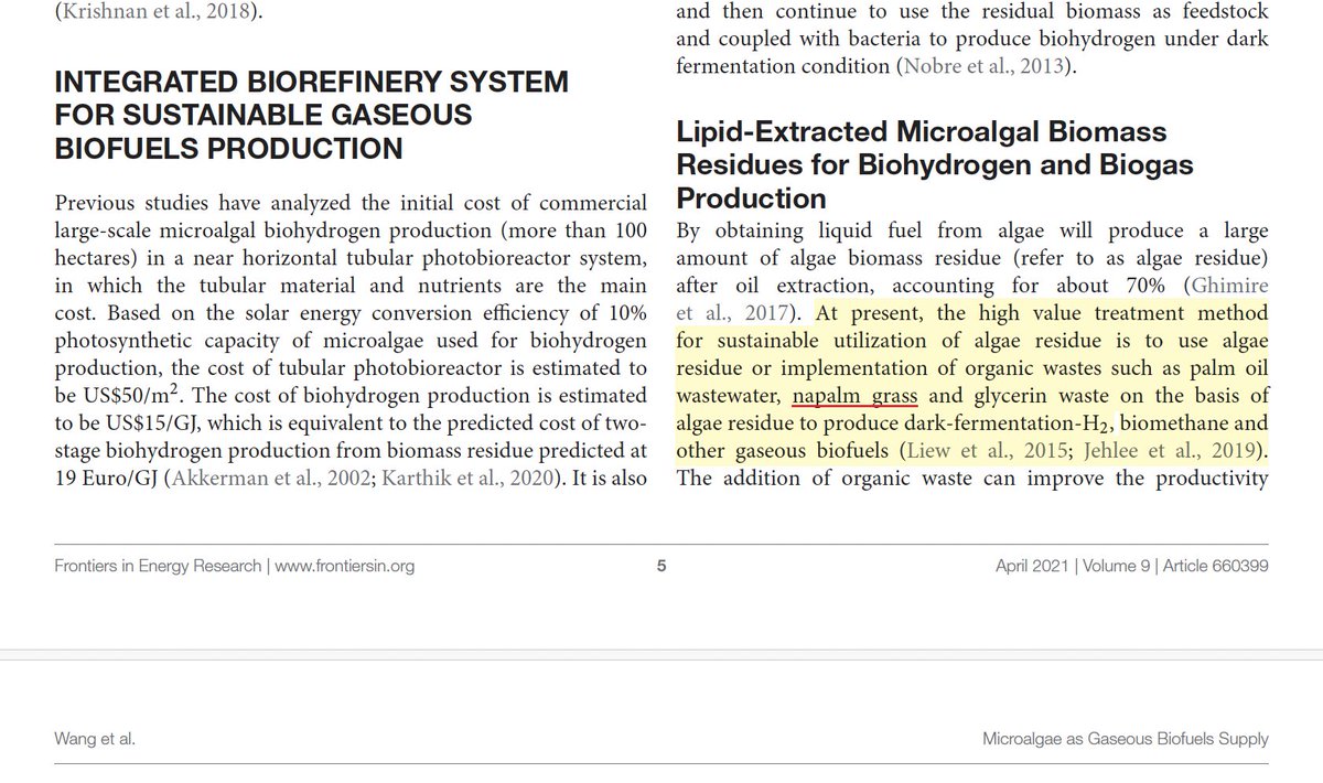 Spottingthespot's tweet photo. Who knew that nitrogenase was actually a hydrogenase!  I also wonder what napalm grass is. It sounds rather dangerous... Napalm.. I don't know, but I would rather not 'ferment' this. When will this #papermill #fraud from Pau Loke Show (@KhalifaUni) stop? 
https://t.co/9wPyUkW1OD https://t.co/DMXP1yhEeo