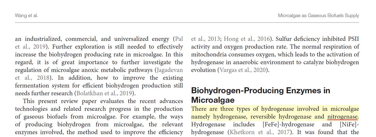 Spottingthespot's tweet photo. Who knew that nitrogenase was actually a hydrogenase!  I also wonder what napalm grass is. It sounds rather dangerous... Napalm.. I don't know, but I would rather not 'ferment' this. When will this #papermill #fraud from Pau Loke Show (@KhalifaUni) stop? 
https://t.co/9wPyUkW1OD https://t.co/DMXP1yhEeo