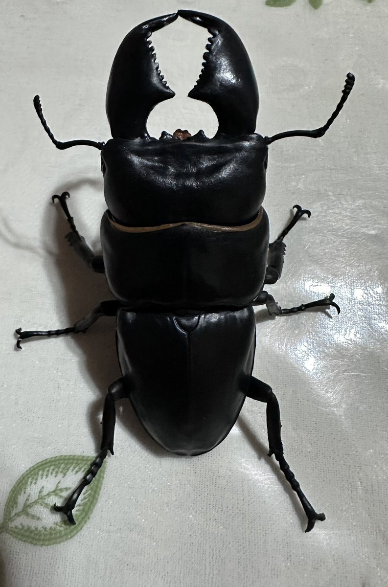 dorcus1214's tweet photo. おそらく最初で最後の極太スマトラのフィギュアだと思うので買いました😄
細かいところまでこだわっていてカッコいいです✨ https://t.co/5VUKlBlKrK